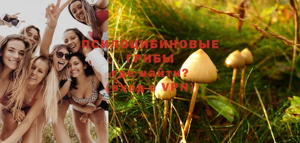 каннабис Богданович