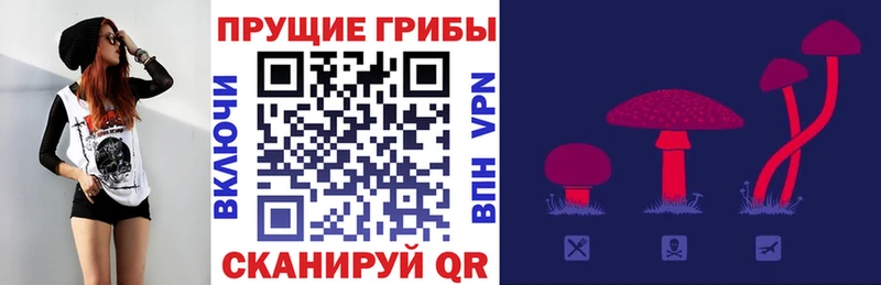 Галлюциногенные грибы прущие грибы  цены наркотик  Дзержинск 