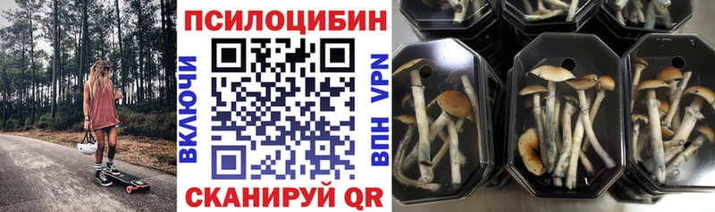 Псилоцибиновые грибы Cubensis Дзержинск